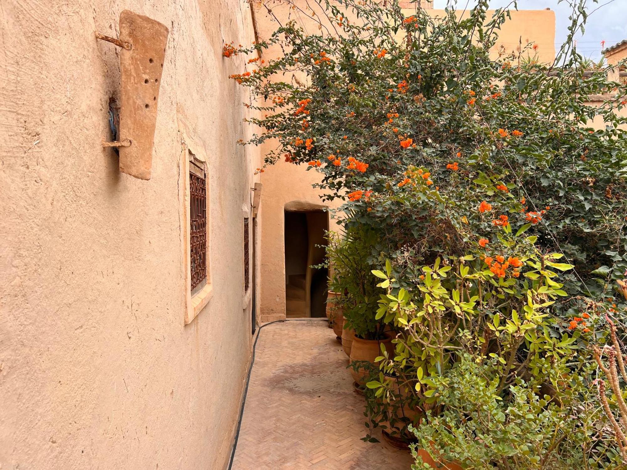 Dar Les Dattiers Taroudant Luaran gambar